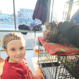 Посетили выставку по пристрою котиков Дорога Домой