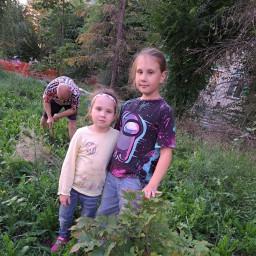 Посадили деревья во дворе