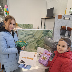 Передали корм на ярмарке пристрое котиков