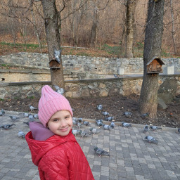 Покормила птиц