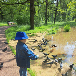 Покормили уточек в парке