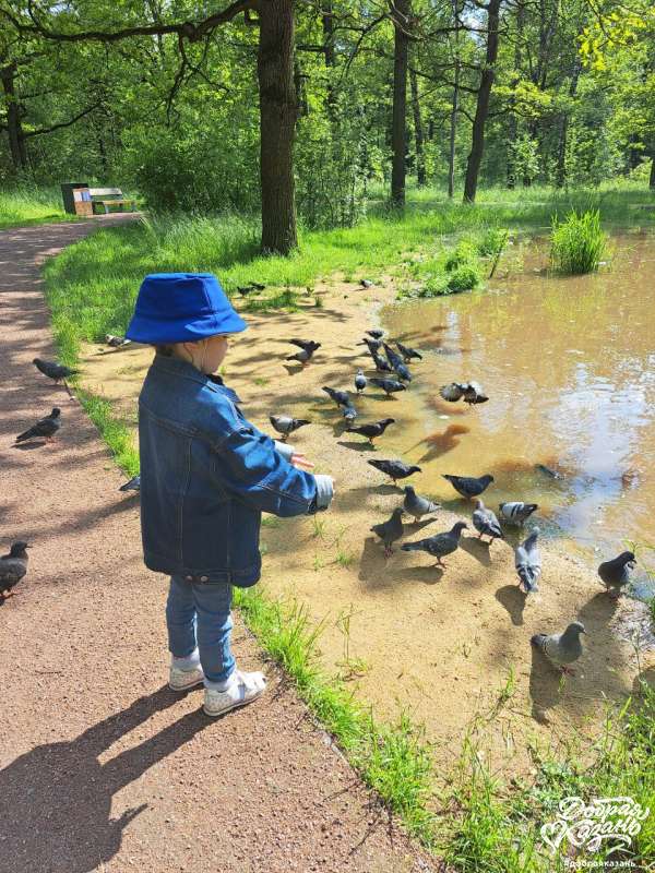 Покормили уточек в парке Покормили уточек в парке