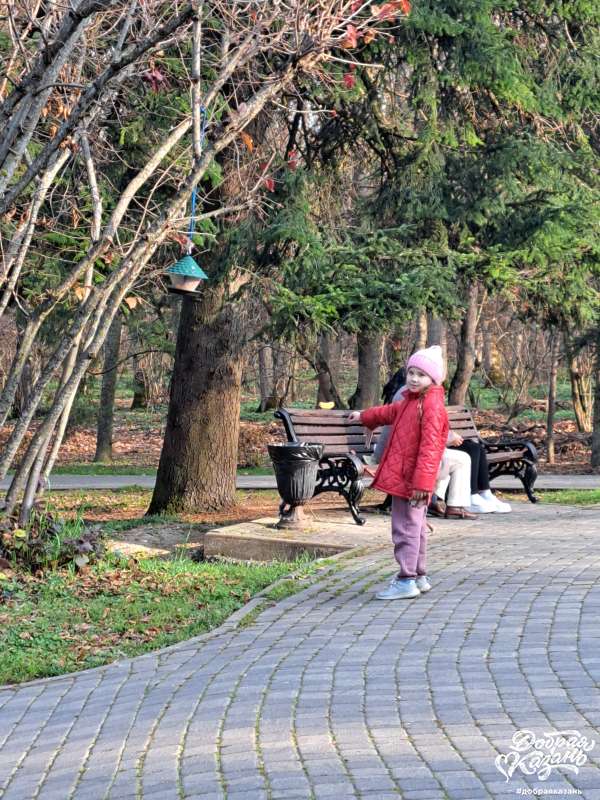 Покормила голубей в парке в Пятигорске.