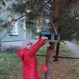 Забота о птичках - забота о природе