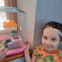 Почистила клеточку хомячку