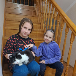 Вычесала кошечке шерсть