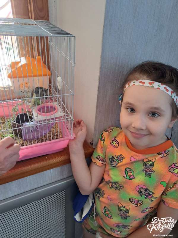 Почистила клеточку хомячку