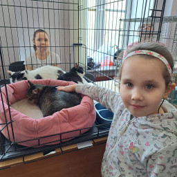 Посетили кошек из зооприютов