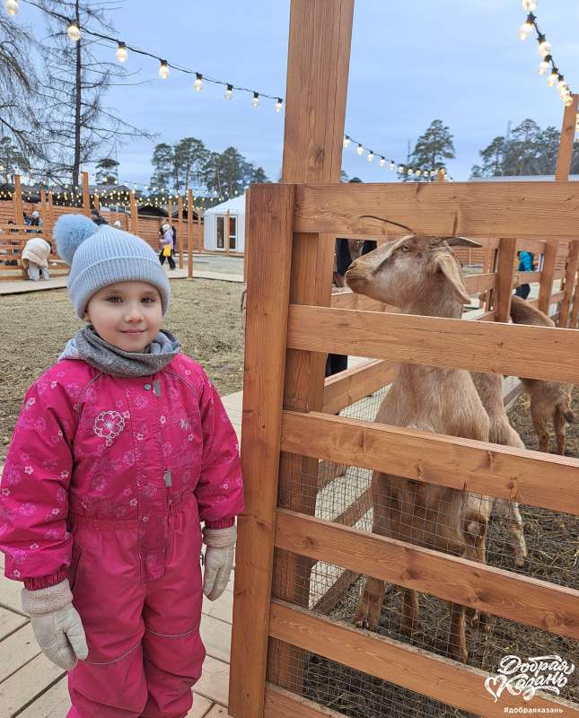 Парк альпак Парк альпак