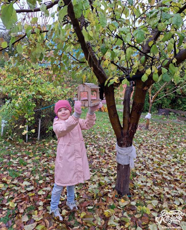 Повесила кормушку в саду у әби и бабая Повесила кормушку в саду у әби и бабая