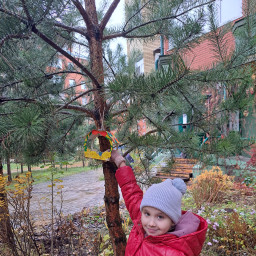 Смастерили и повесили кормушку