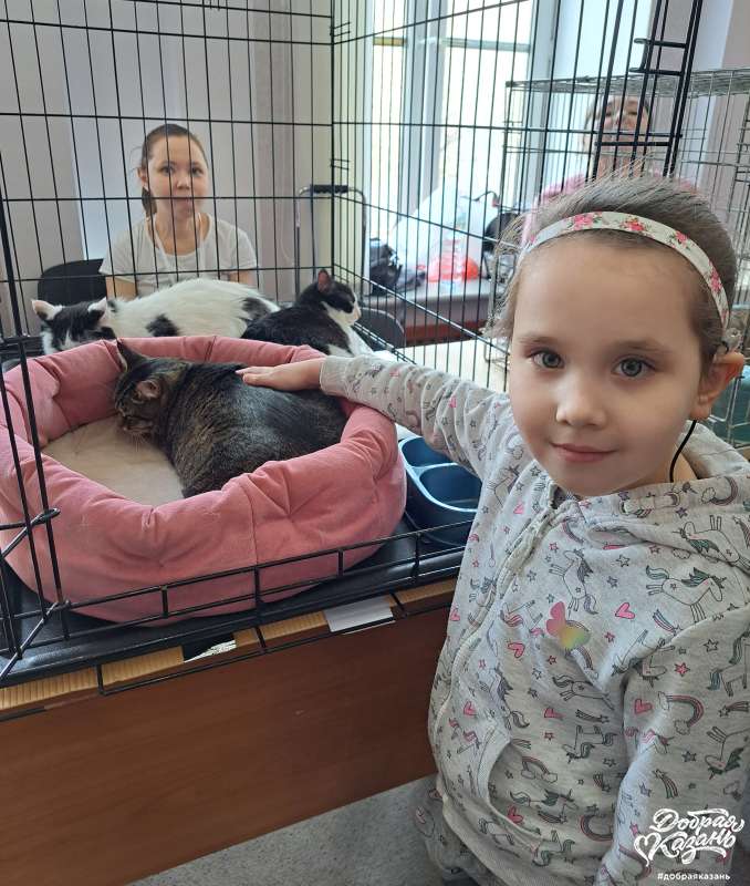 Посетили кошек из зооприютов