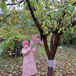 Повесила кормушку в саду у әби и бабая