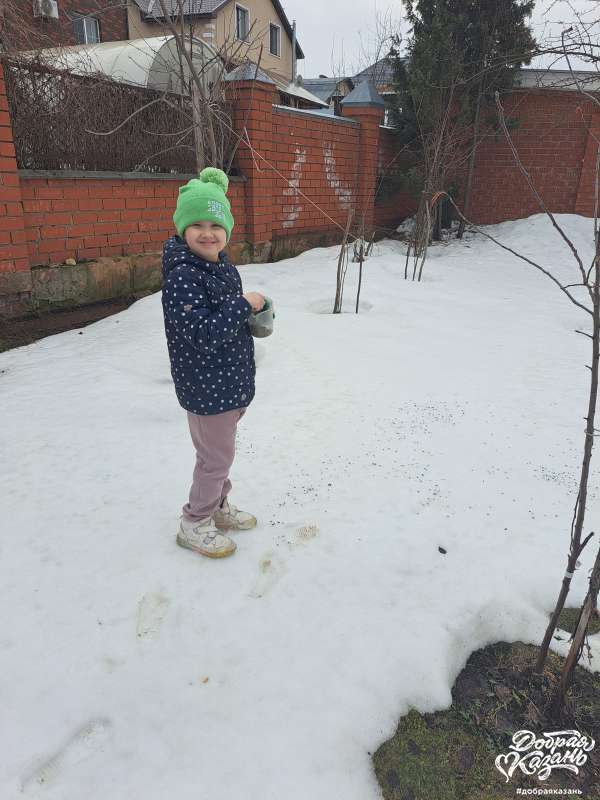 Разложила корм для птиц, которым кормушка мала