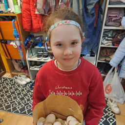 Яичные скорлупки - прекрасное органическое удобрение