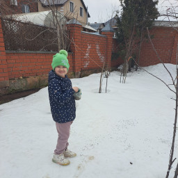 Разложила корм для птиц, которым кормушка мала