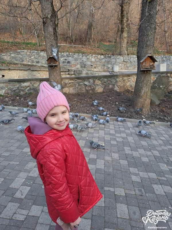 Покормила птиц