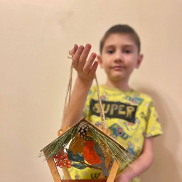 Сделал кормушку для птиц!