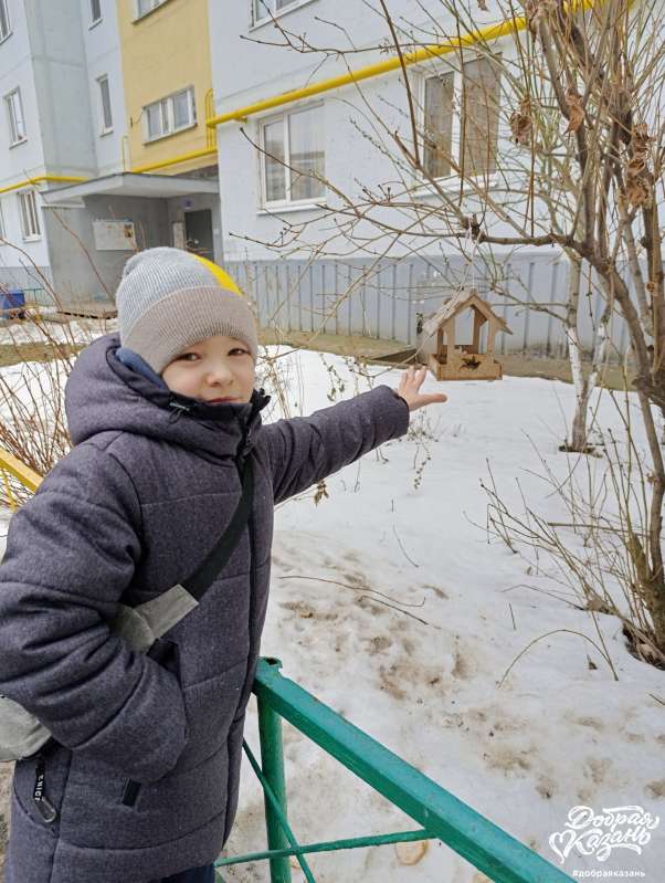 Покормил птичек на улице