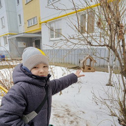 Покормил птичек на улице