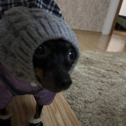 Утепляемся