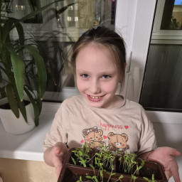 Будущие помидоры