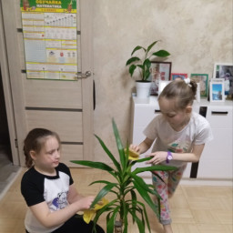 Ухаживаем за растениями