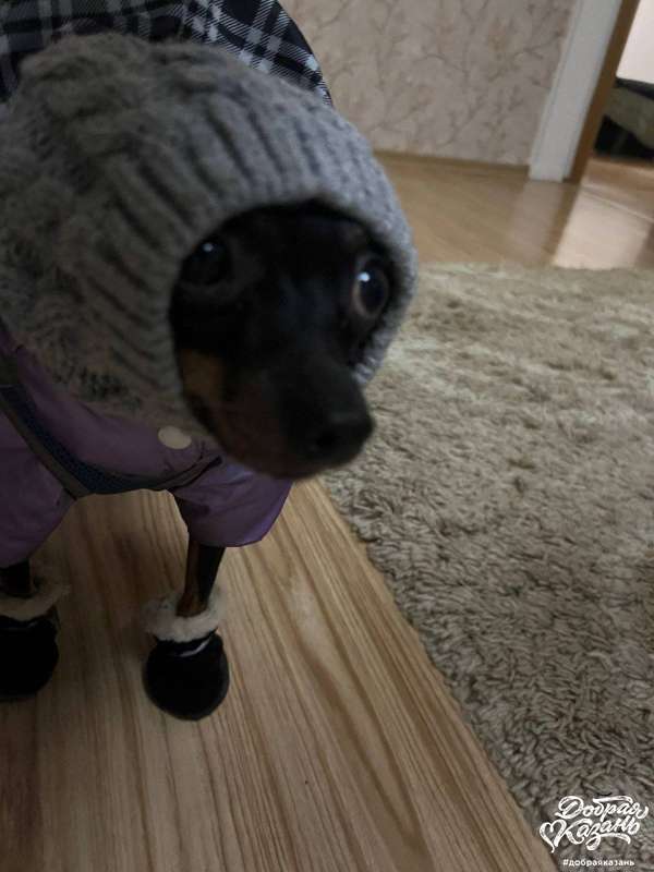 Утепляемся