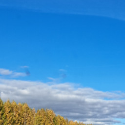 Тёплый октябрь