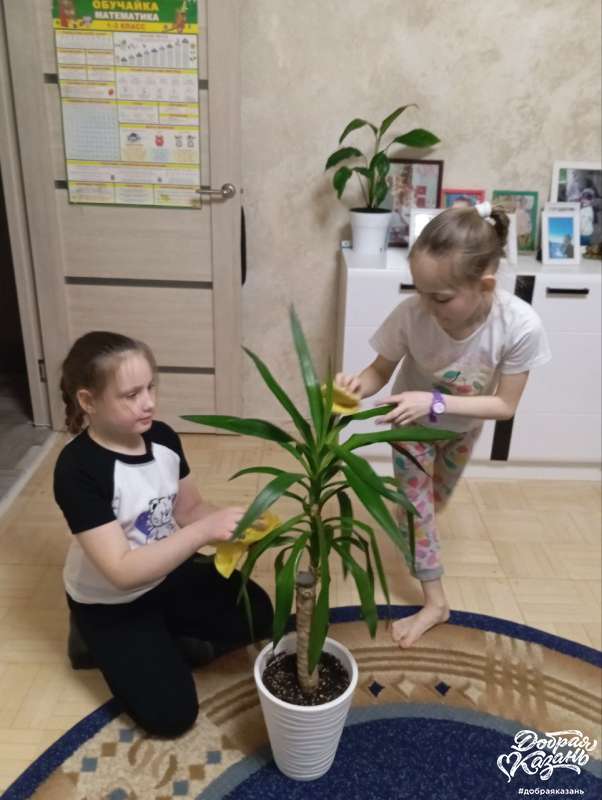 Ухаживаем за растениями