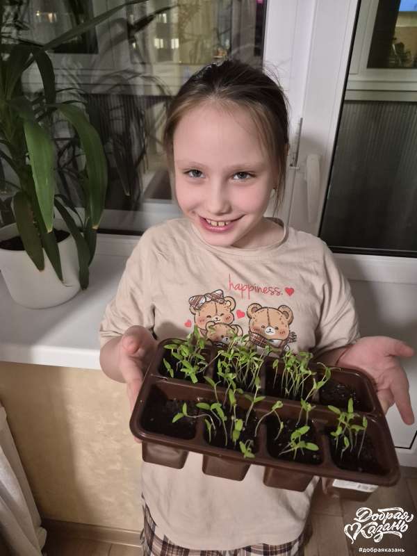 Будущие помидоры