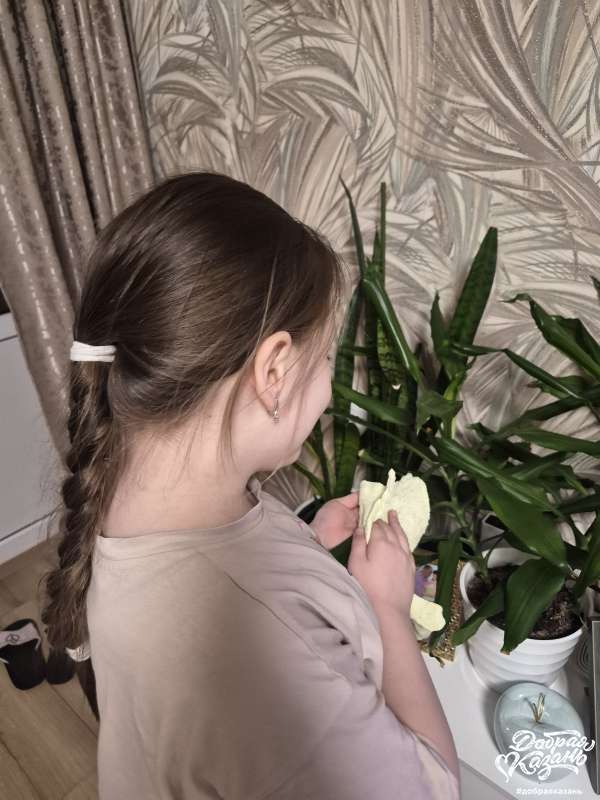 Помогаю бабушке