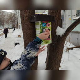 Кормушка