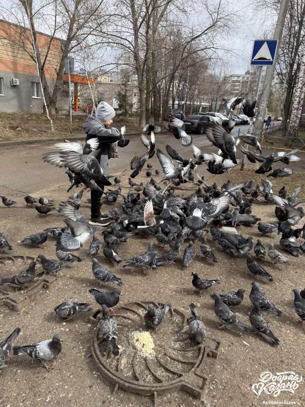 Добрые дела !