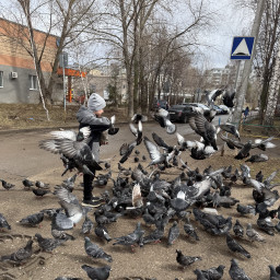 Добрые дела !