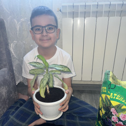 Помощник мамы !