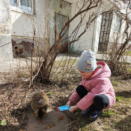 Угощение котятам