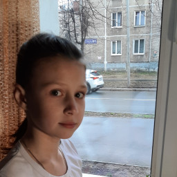 Посадили рассаду