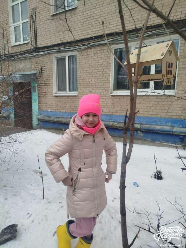 Кормим птиц