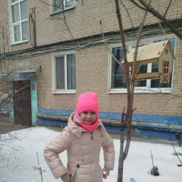 Кормим птиц