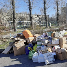 Сбор макулатуры!