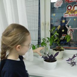 Поливаю растения ☘️