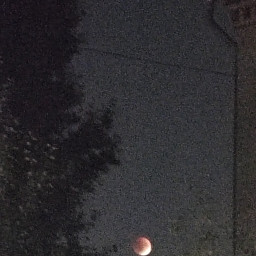 Наблюдали затмение луны