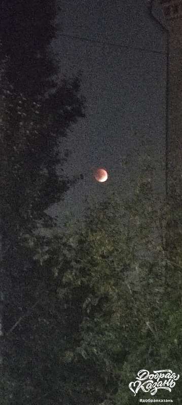 Наблюдали затмение луны