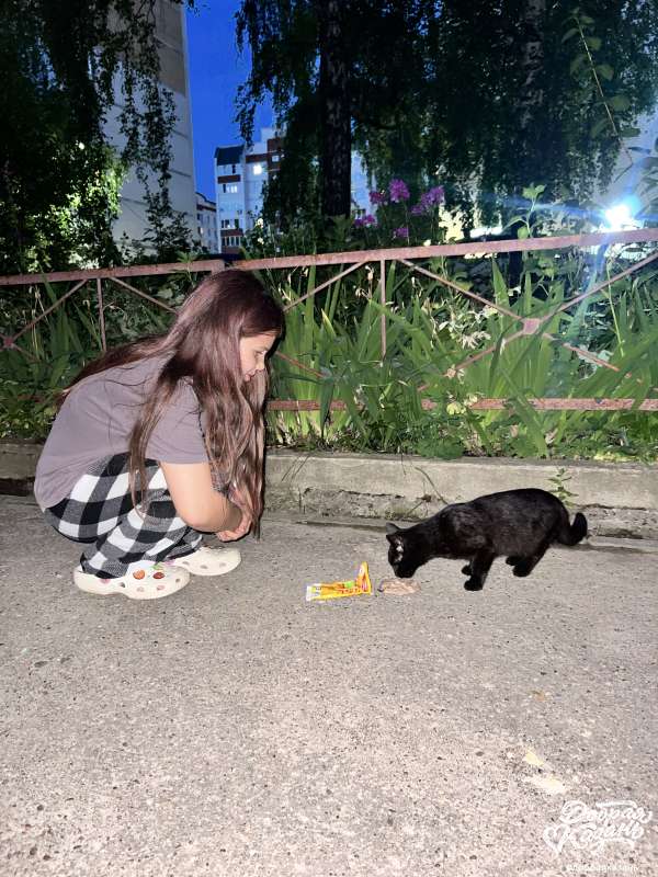 Забота о животных