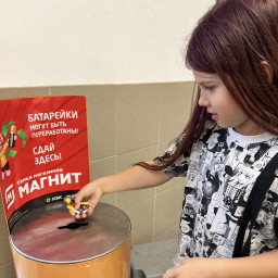 Сдала отработанные батарейки