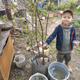 Помощь в посадке