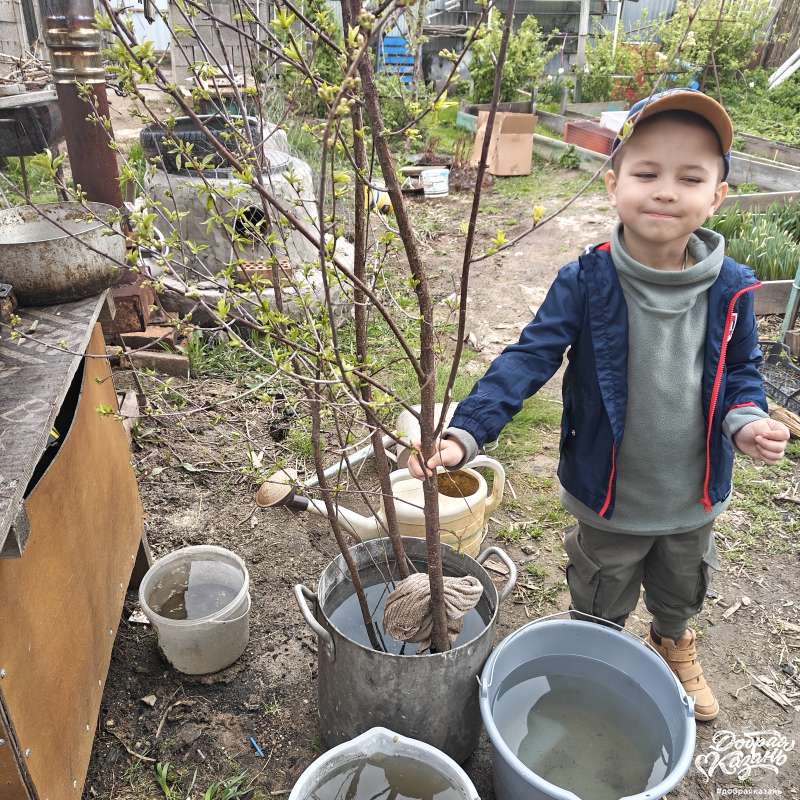Помощь в посадке
