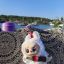 Пластиковым бутылкам для воды НЕТ! 4
