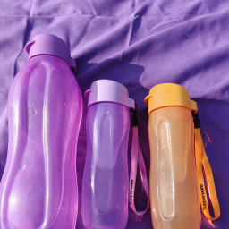 Пластиковым бутылкам для воды НЕТ!